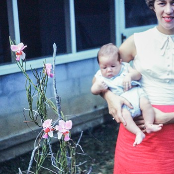 Photo of Jeanine VanKerckhove